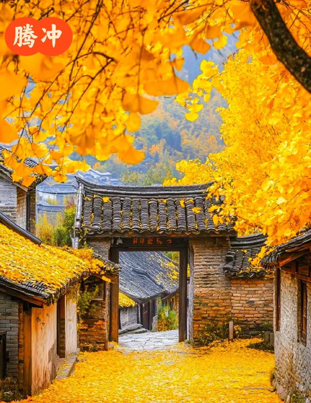 国内10个秋景天花板,这个季节美到封神!