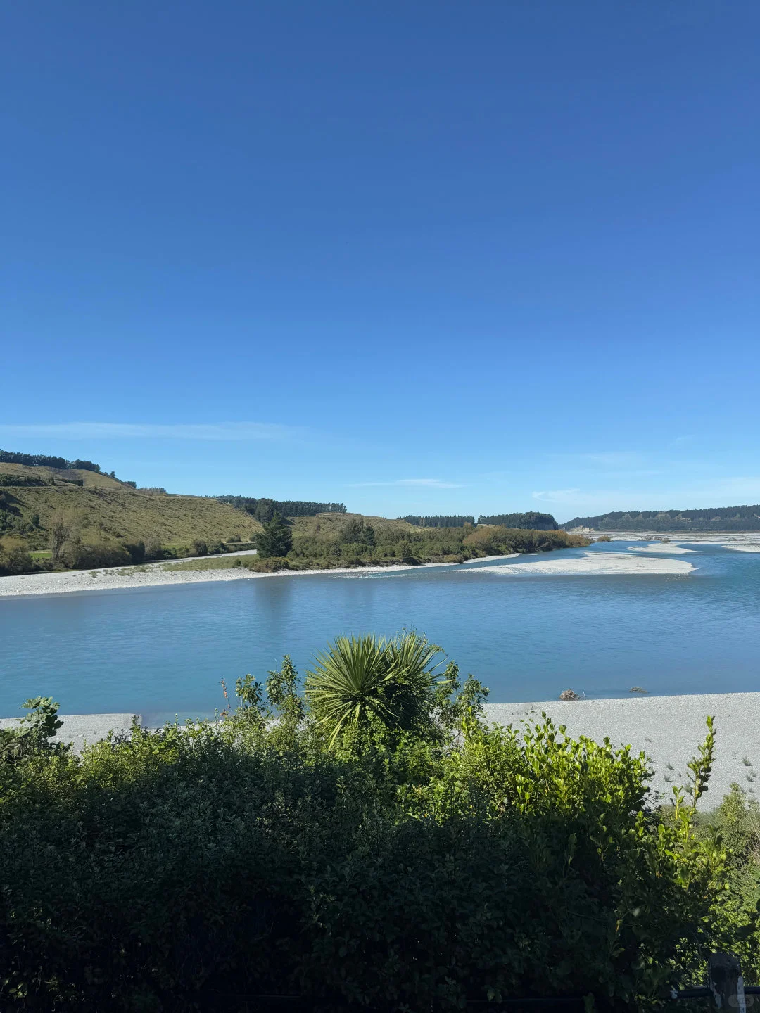 和男朋友去新西兰玩了8天,说点大实话