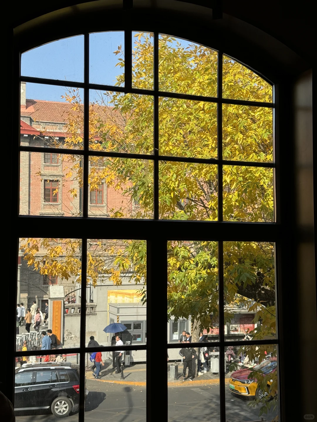 北平秋天无平替….🍂🍂