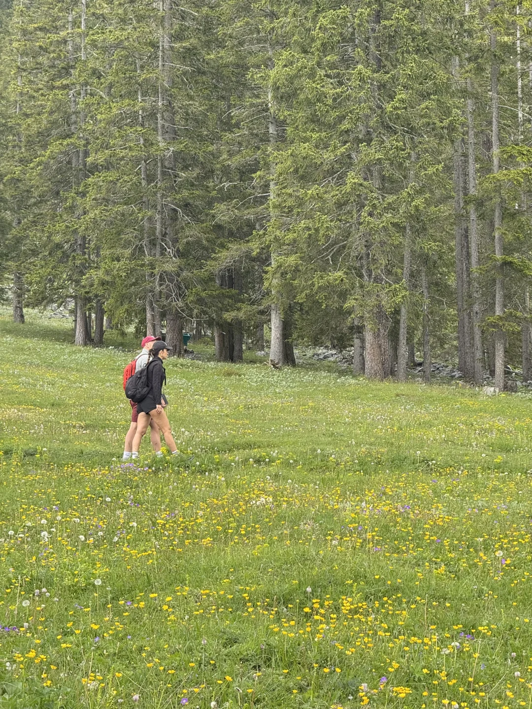 完全是因为这张照片去的瑞士
