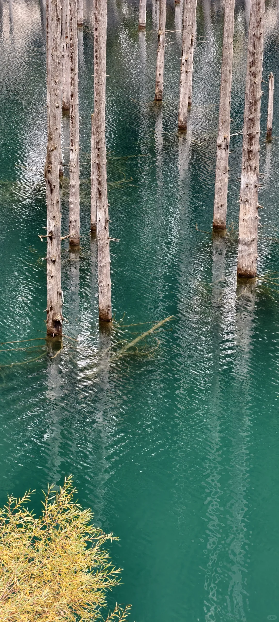 哈萨克斯坦🇰🇿被严重低估的旅行圣地