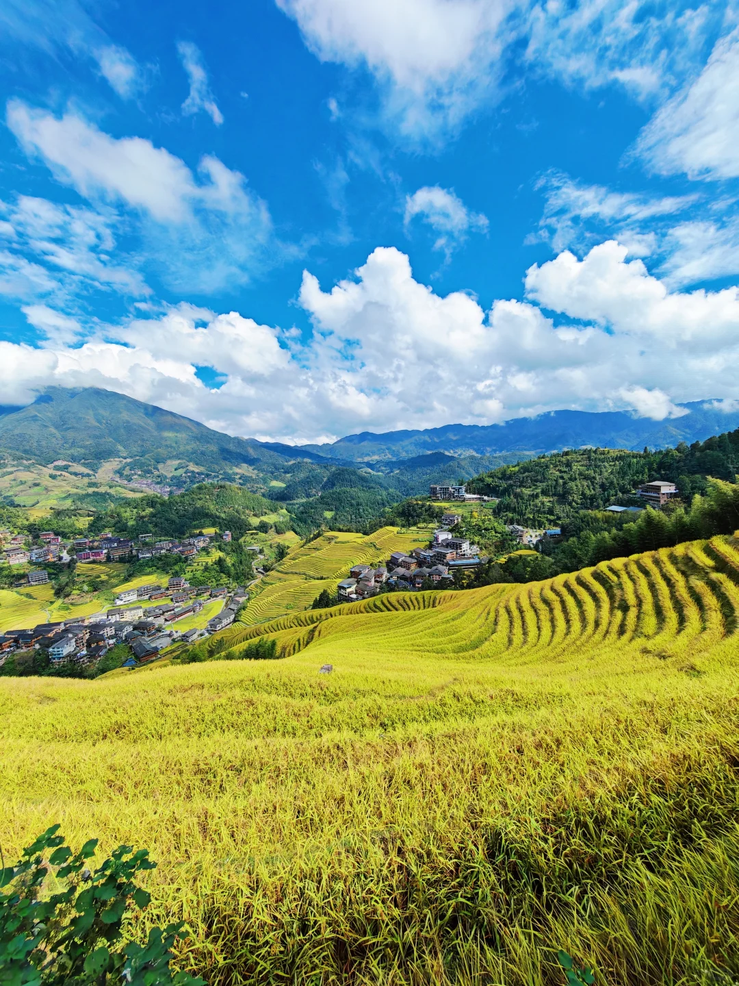 📍龙脊梯田包车自由行天花板攻略！🚗