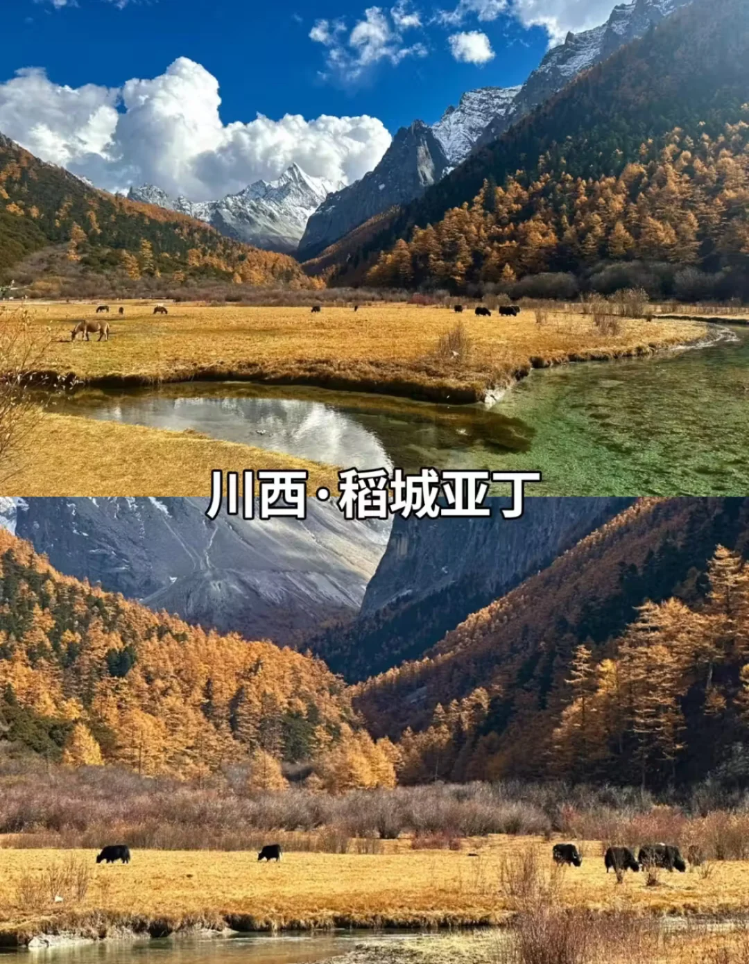 9-11月必打卡 豪国内10大封神赏秋地!