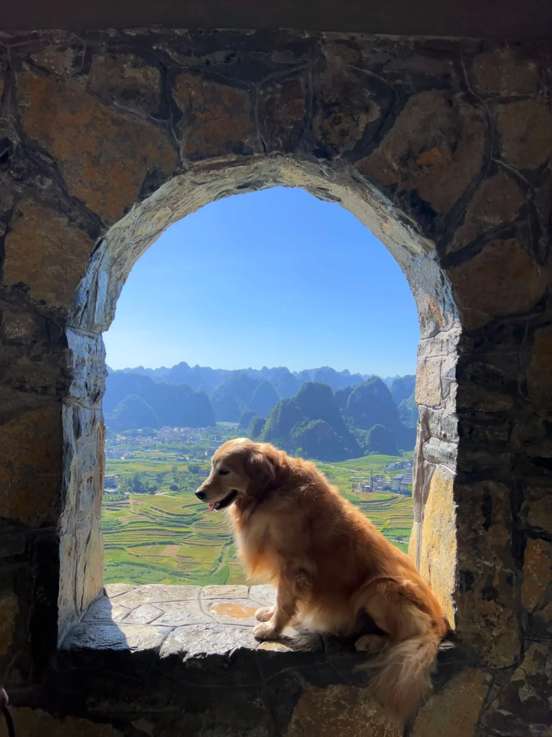 广西带狗自驾，冷门又出片的7个小众景点之2