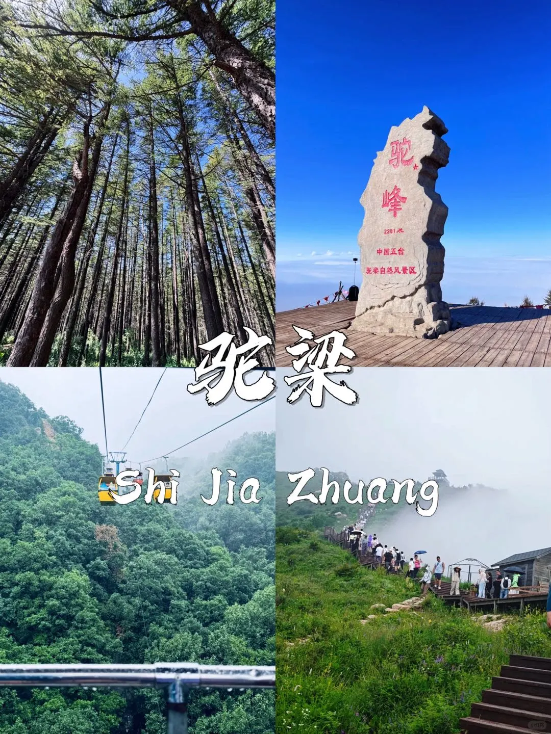 石家庄必打卡的九个景点❗️❗️