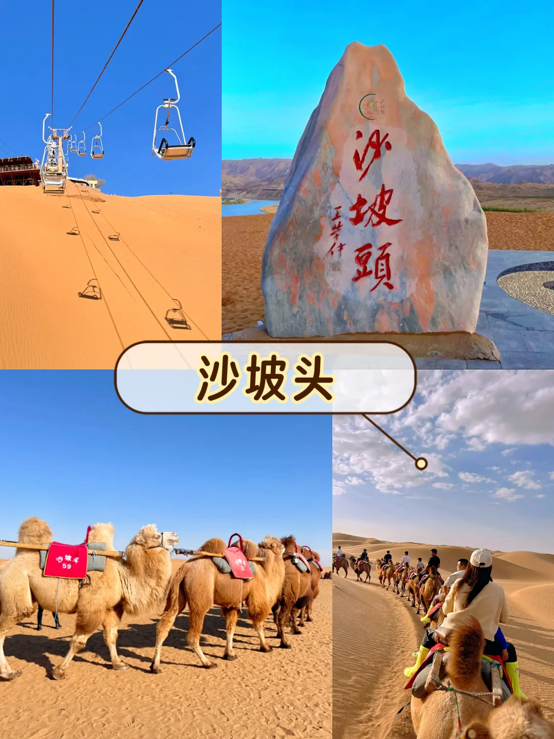 宁夏银川5天4夜🏜人均1000+省钱玩法❗️