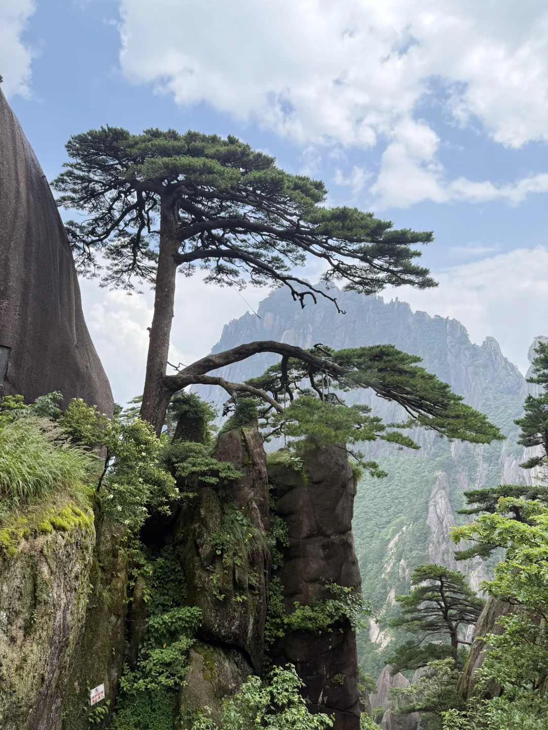 #黄山自驾游 邯郸-黄山5日游