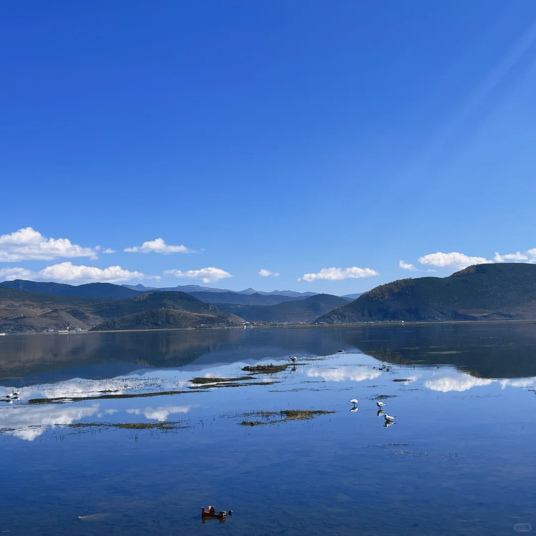 📍云南 11月超完美旅行攻略📝