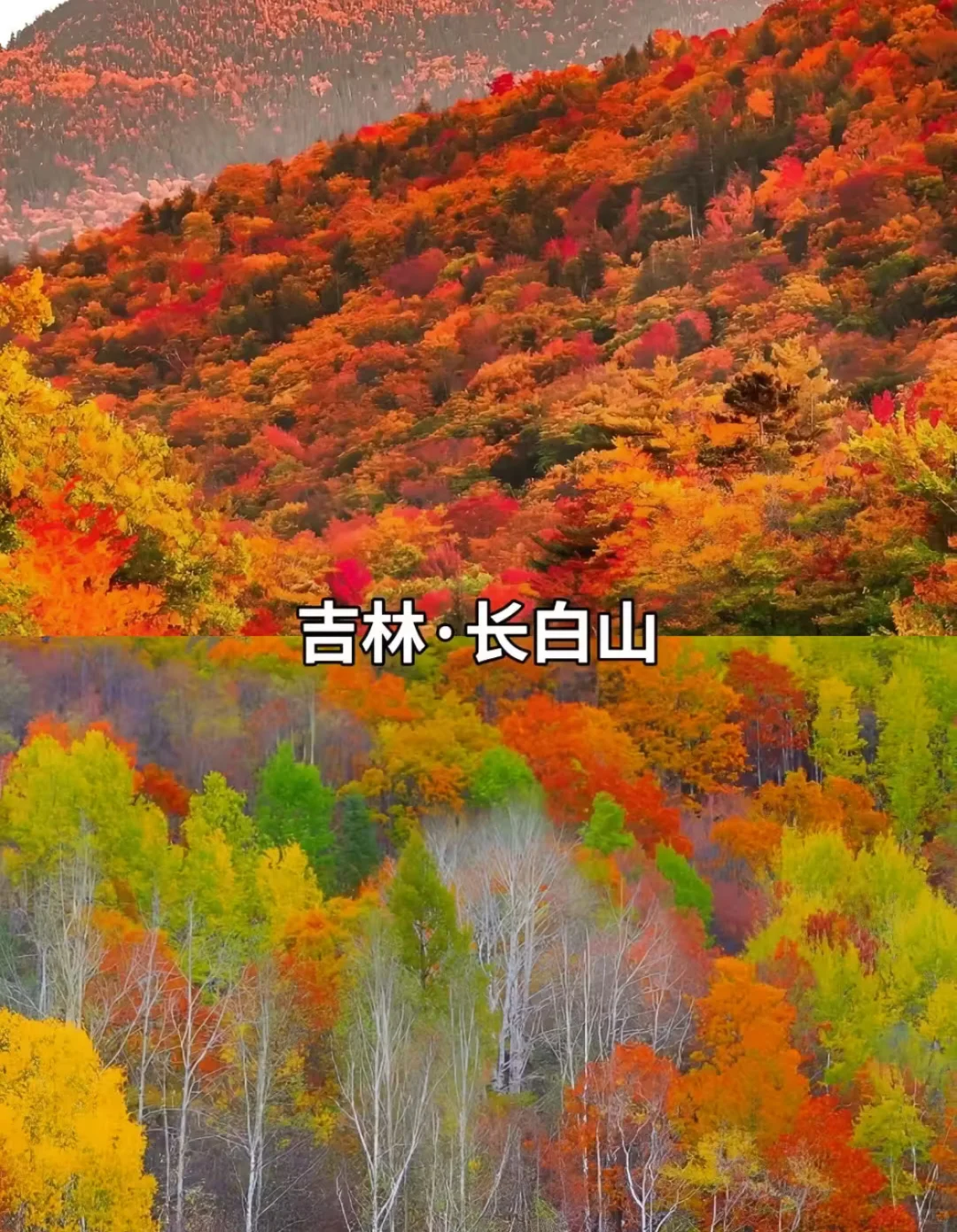 9-11月必打卡 豪国内10大封神赏秋地!