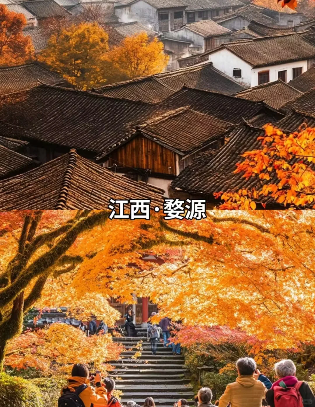 9-11月必打卡 豪国内10大封神赏秋地！