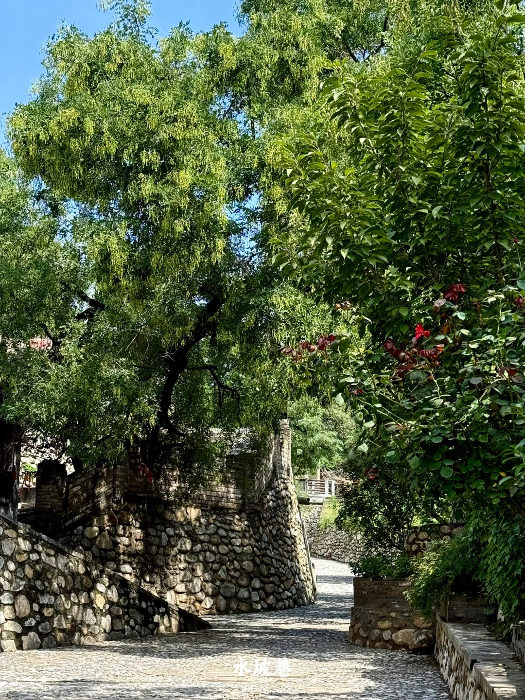 陕西|一个人坐火车去潼关(含公交旅行攻略