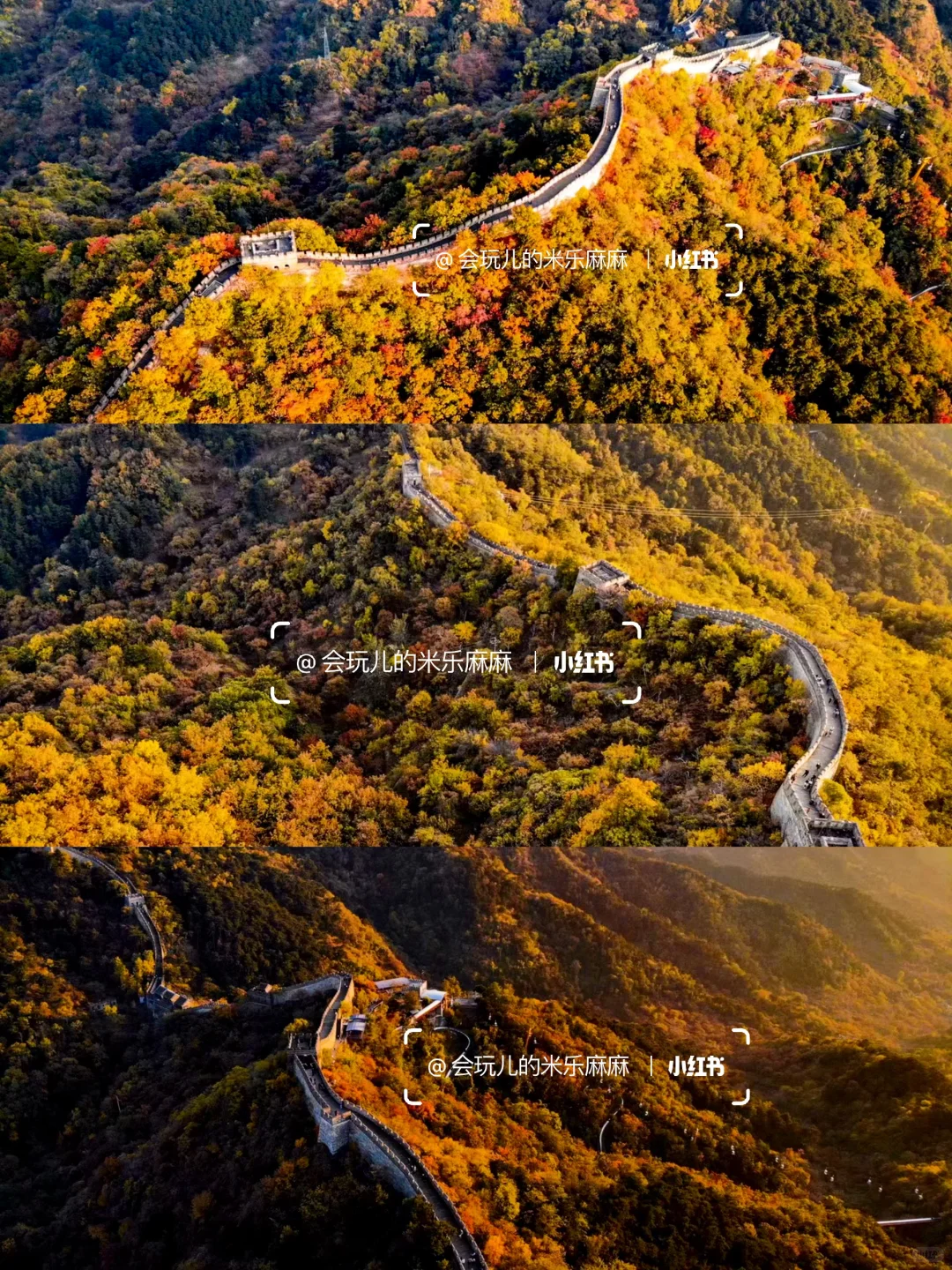 再等10天❗️北京这25个地方红叶美到窒息🍁
