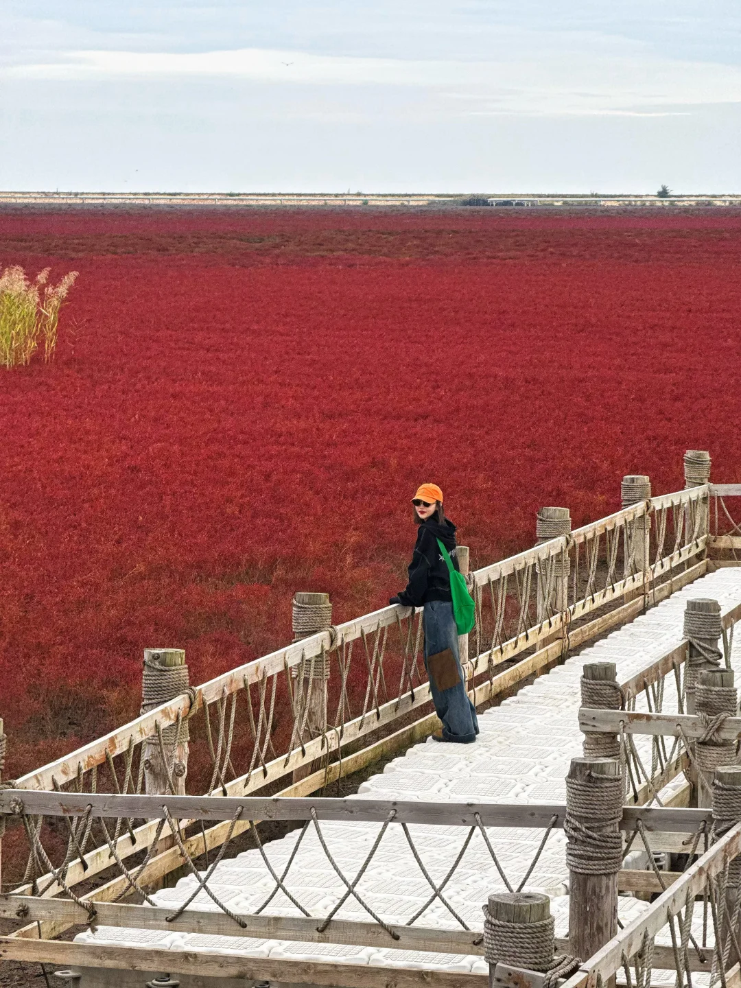 盘锦｜ 在这片红滩秘境拍到了人生照片❗️