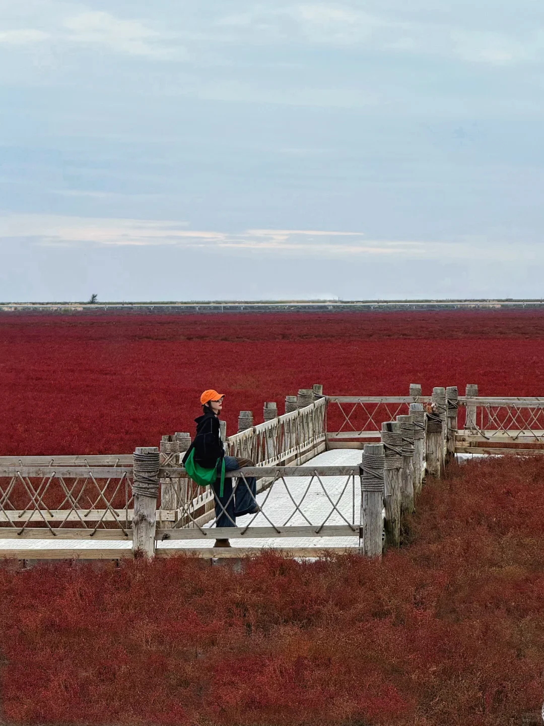 盘锦｜ 在这片红滩秘境拍到了人生照片❗️