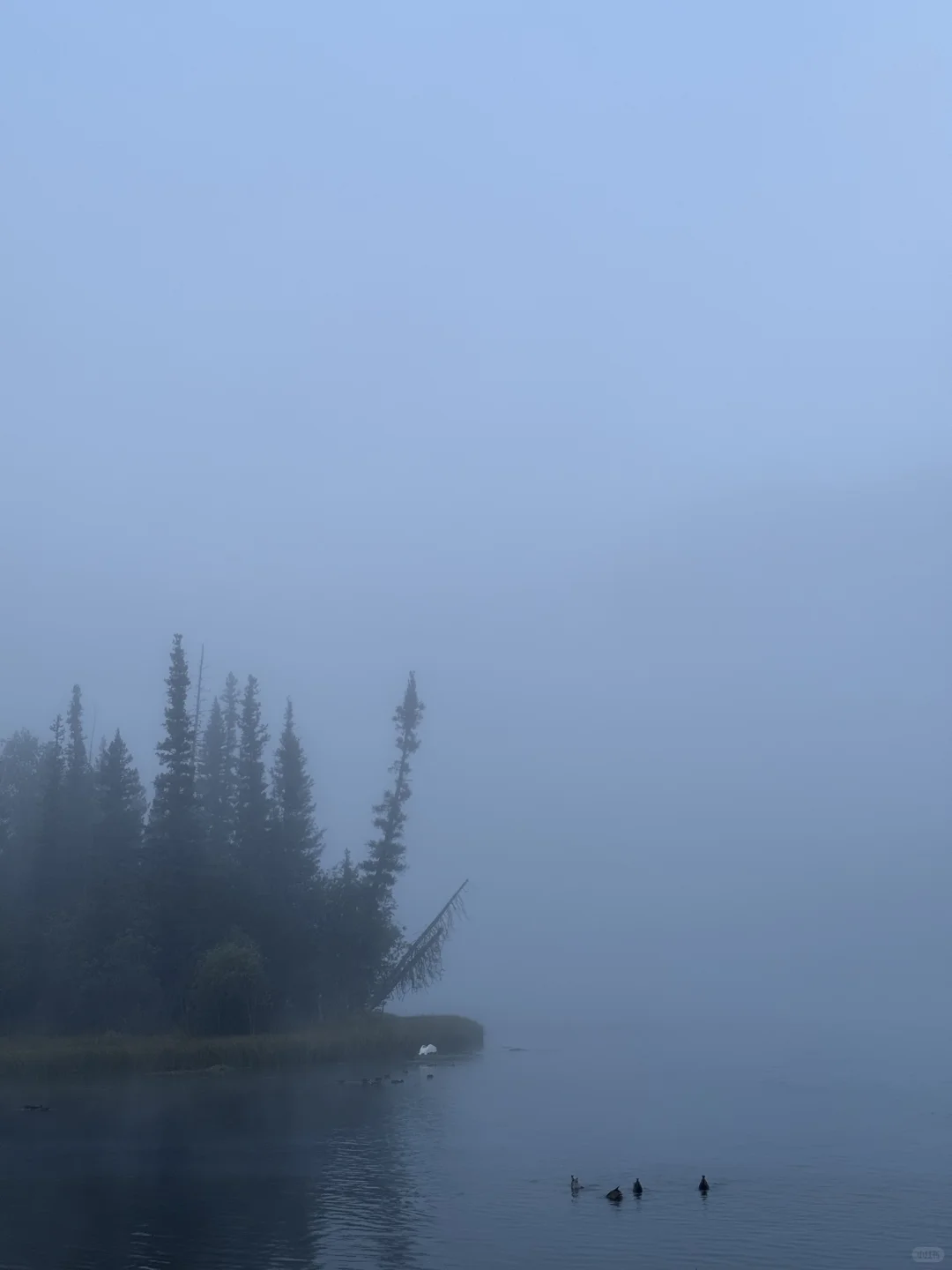 live图才能表达新疆阿勒泰的蓝天白云☁️🏔️
