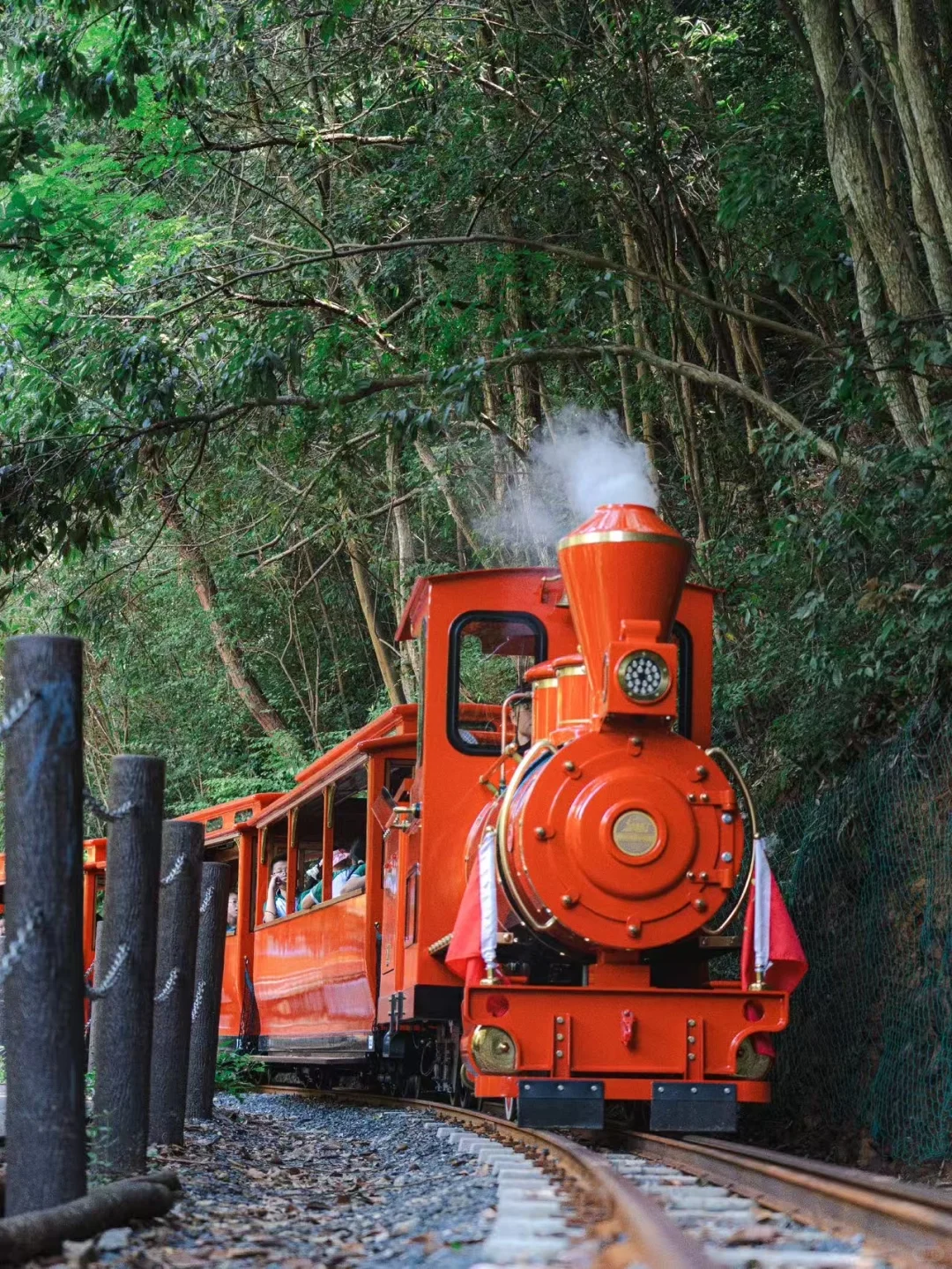 🍂千岛湖秋日漫游指南|10大必玩景点攻略