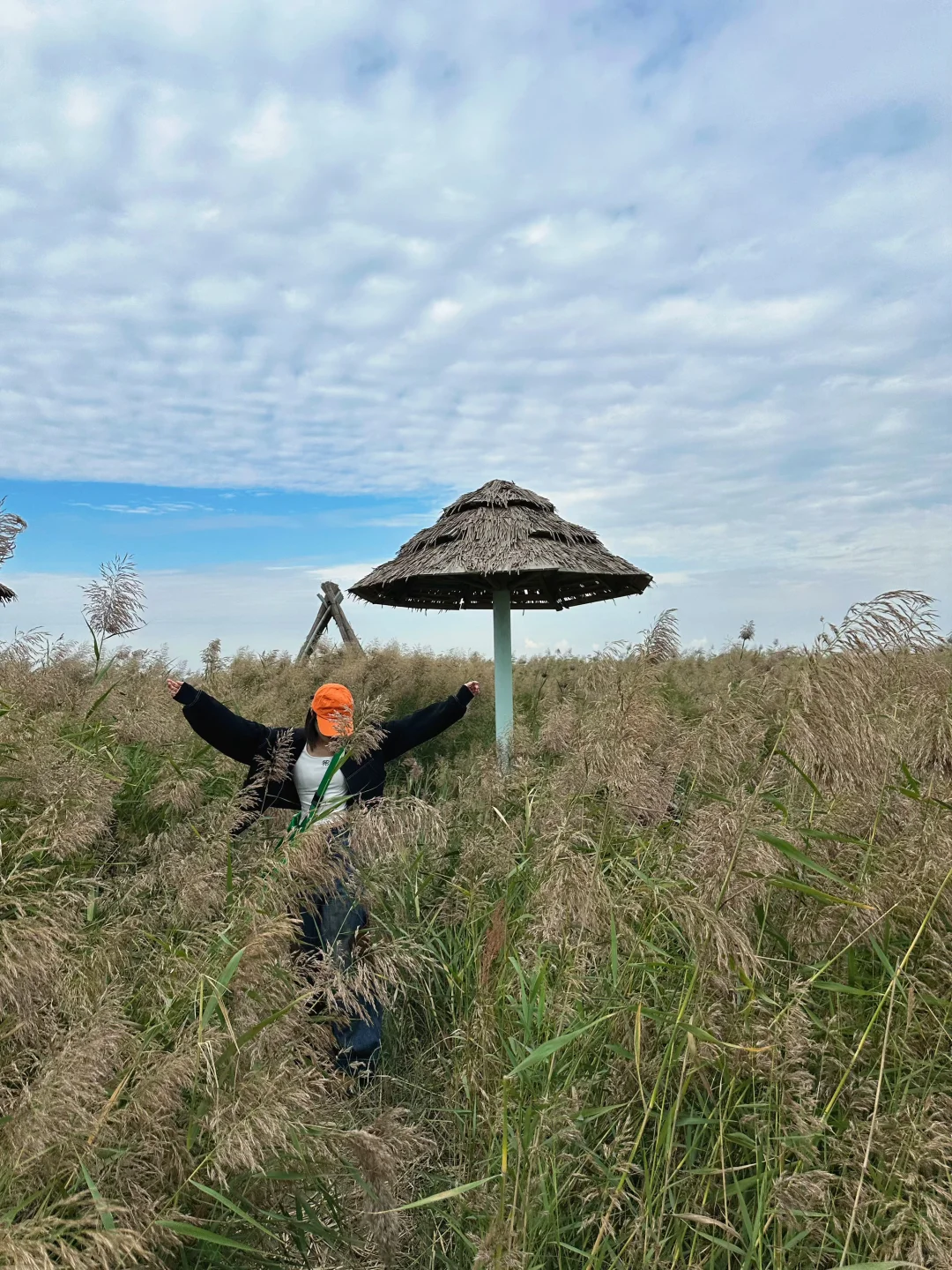 盘锦｜ 在这片红滩秘境拍到了人生照片❗️