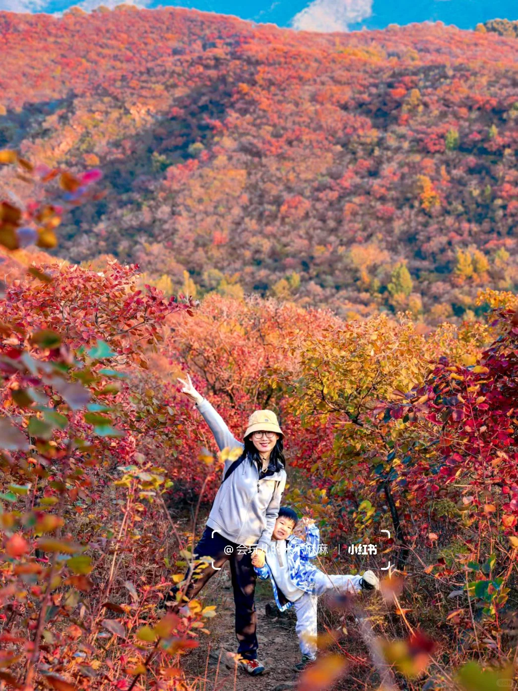 再等10天❗️北京这25个地方红叶美到窒息🍁