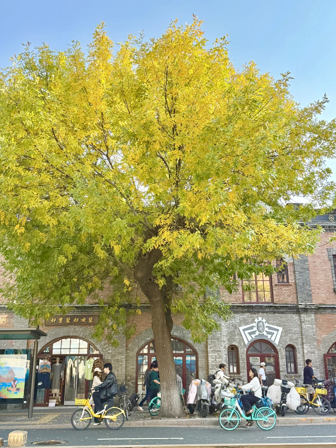 10.14实拍live，此刻北京五四大街的秋来啦❗️