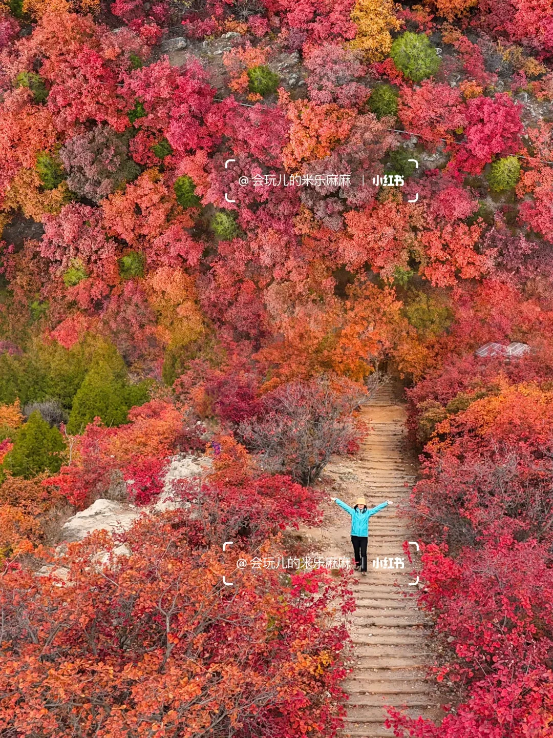 再等10天❗️北京这25个地方红叶美到窒息🍁