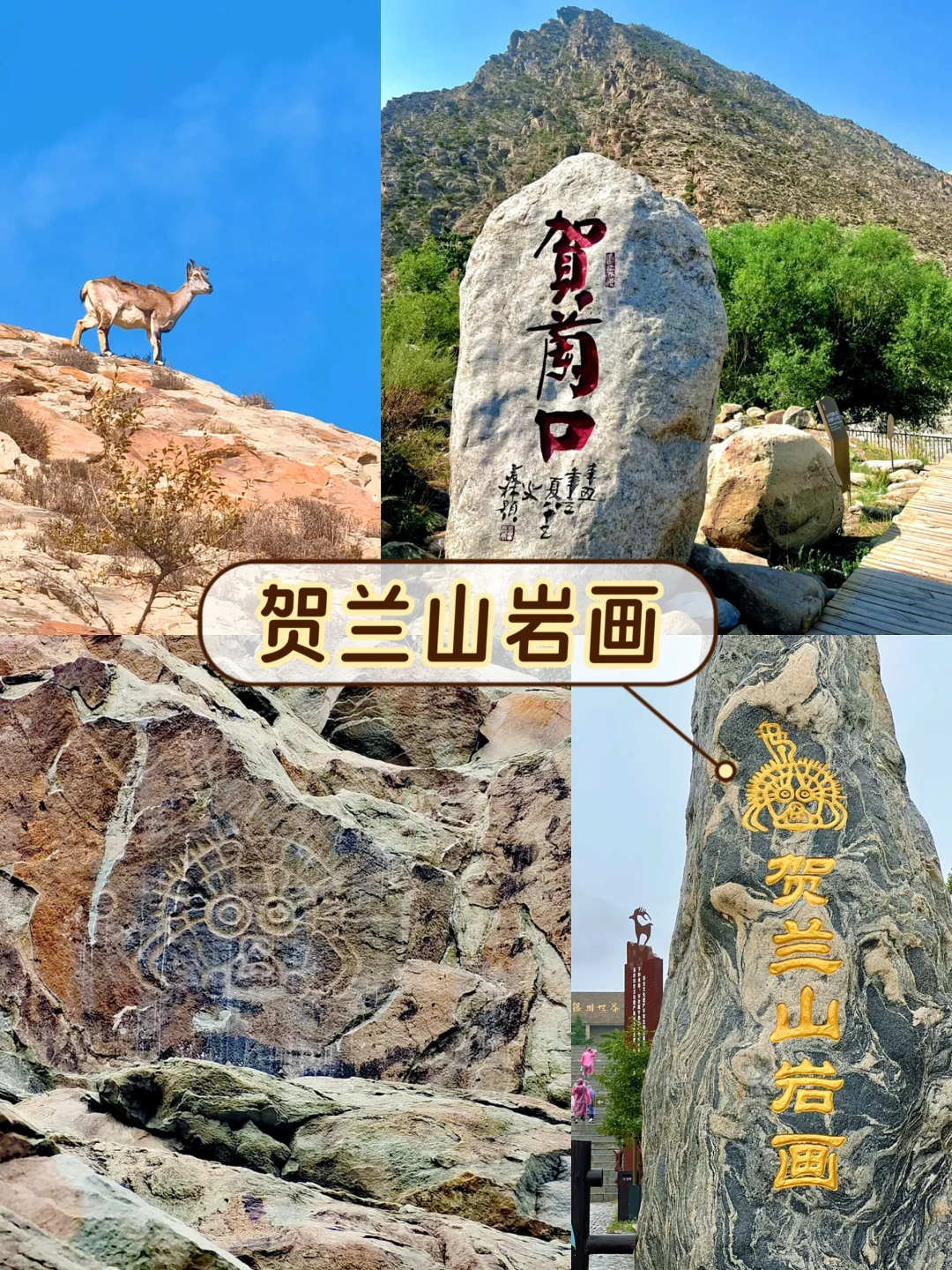 宁夏银川5天4夜🏜人均1000+省钱玩法❗️