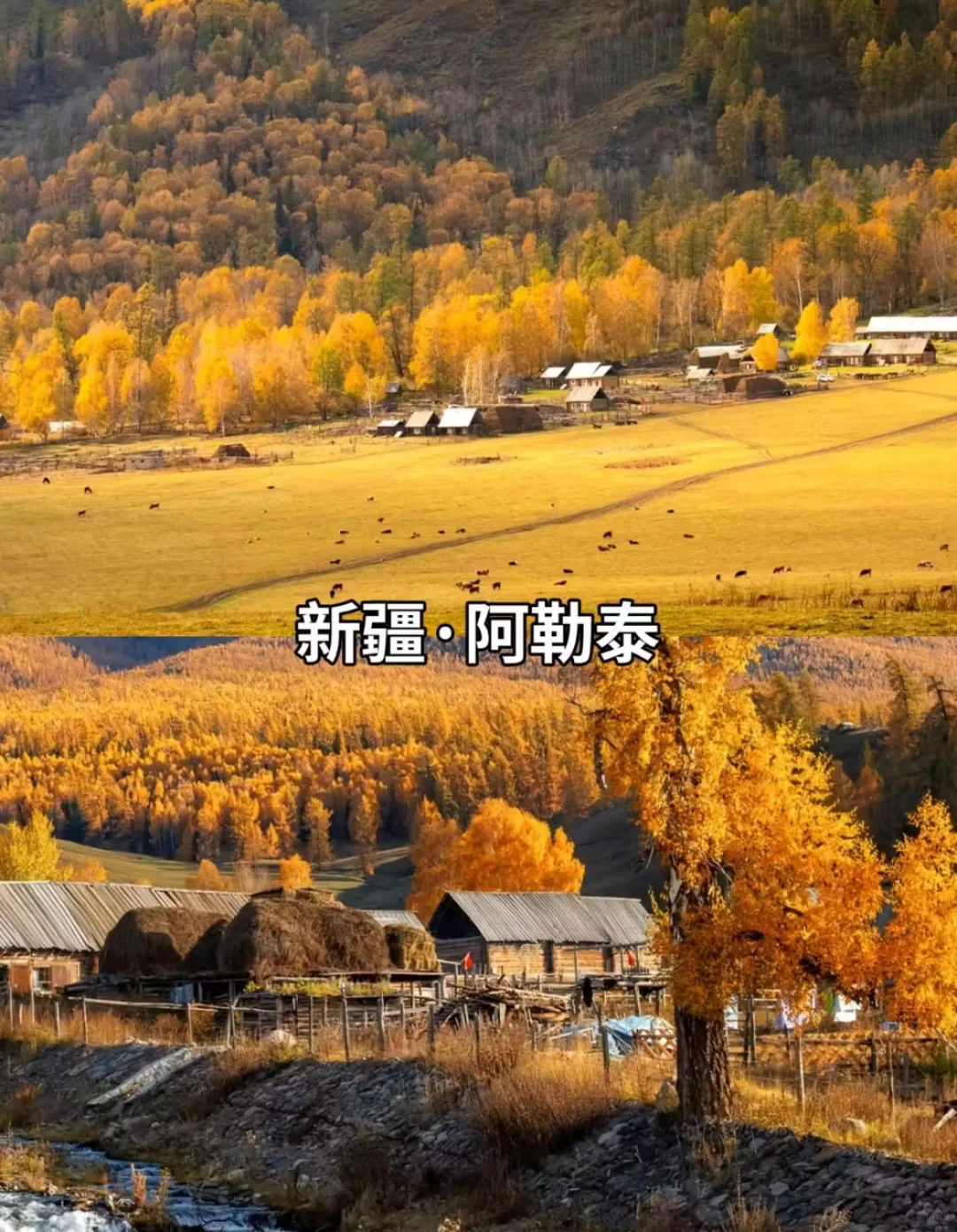 9-11月必打卡 豪国内10大封神赏秋地!