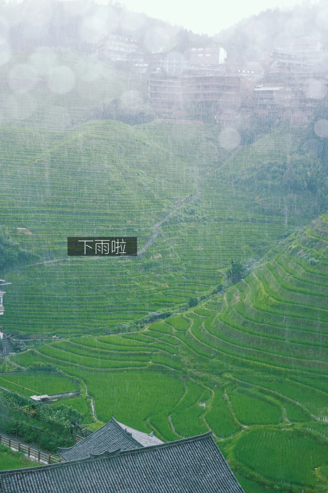 桂林旅游攻略（4天3晚）