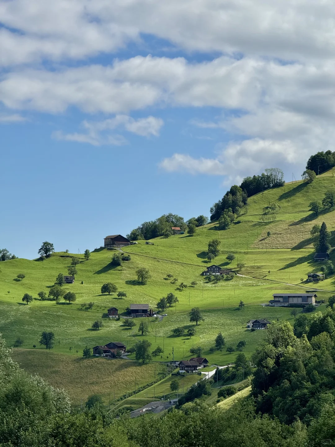 🇨🇭Switzerland第一批地球街溜子已到欧洲~