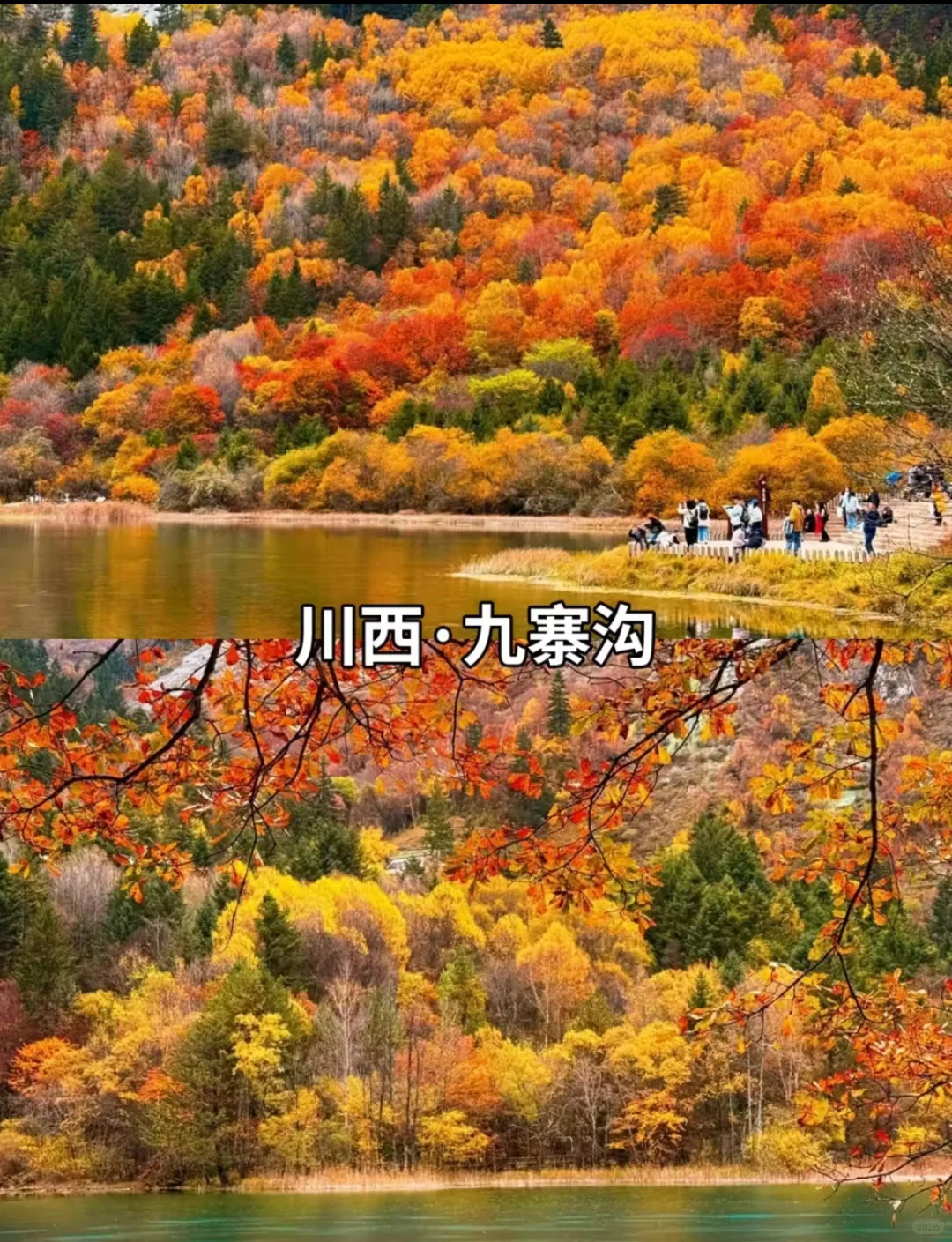 9-11月必打卡 豪国内10大封神赏秋地!
