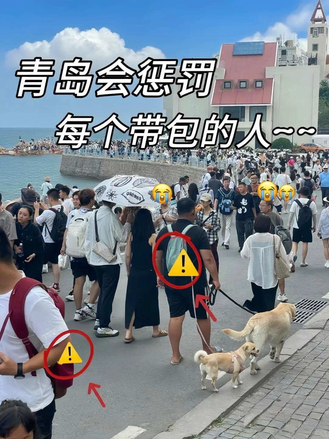 青岛会惩罚每一个带包的人‼😭