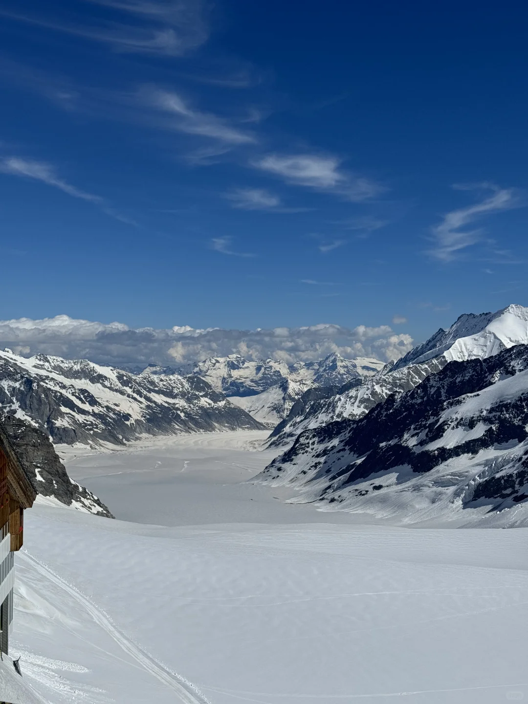 🇨🇭Switzerland第一批地球街溜子已到欧洲~