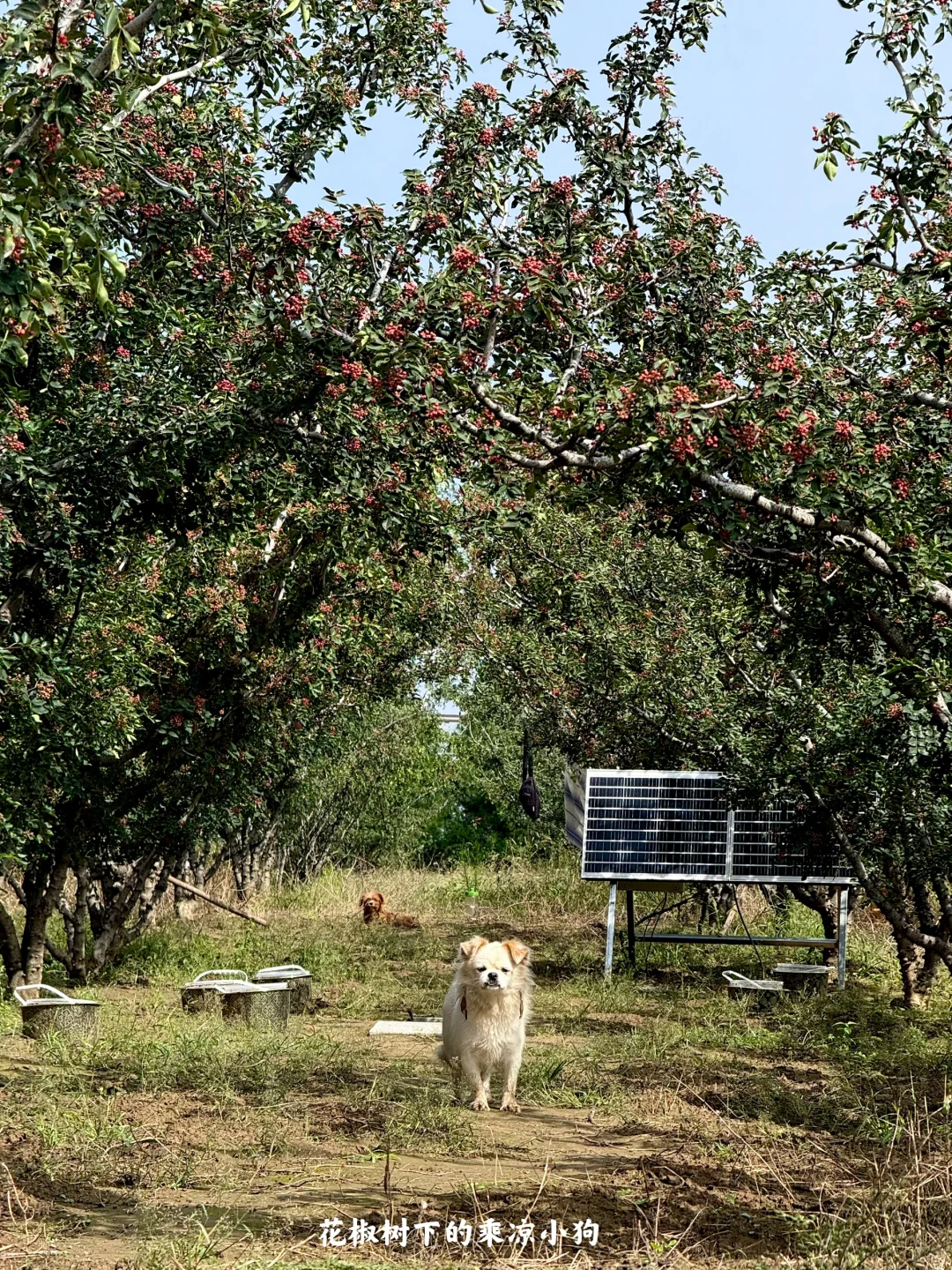 陕西|一个人坐火车去潼关(含公交旅行攻略