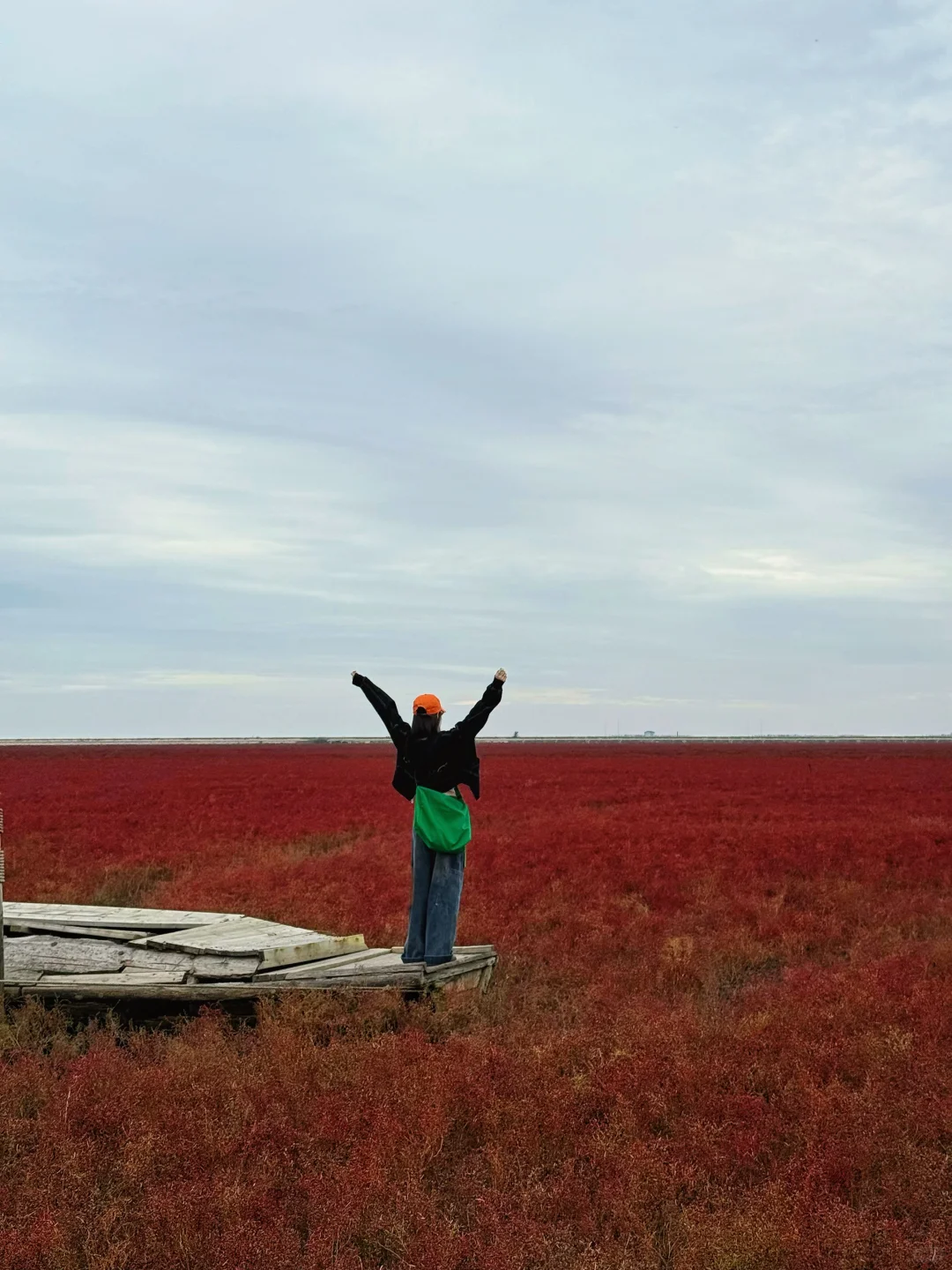 盘锦｜ 在这片红滩秘境拍到了人生照片❗️
