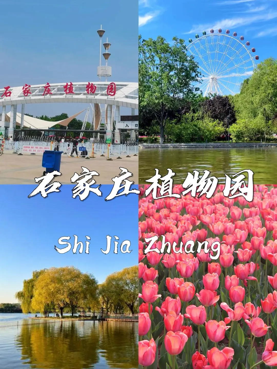 石家庄必打卡的九个景点❗️❗️