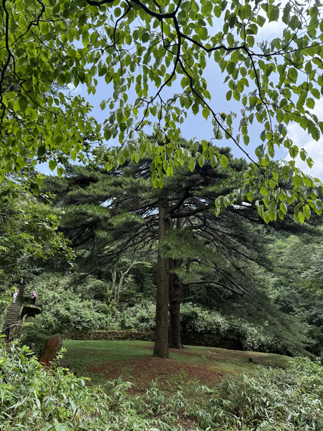 #黄山自驾游 邯郸-黄山5日游