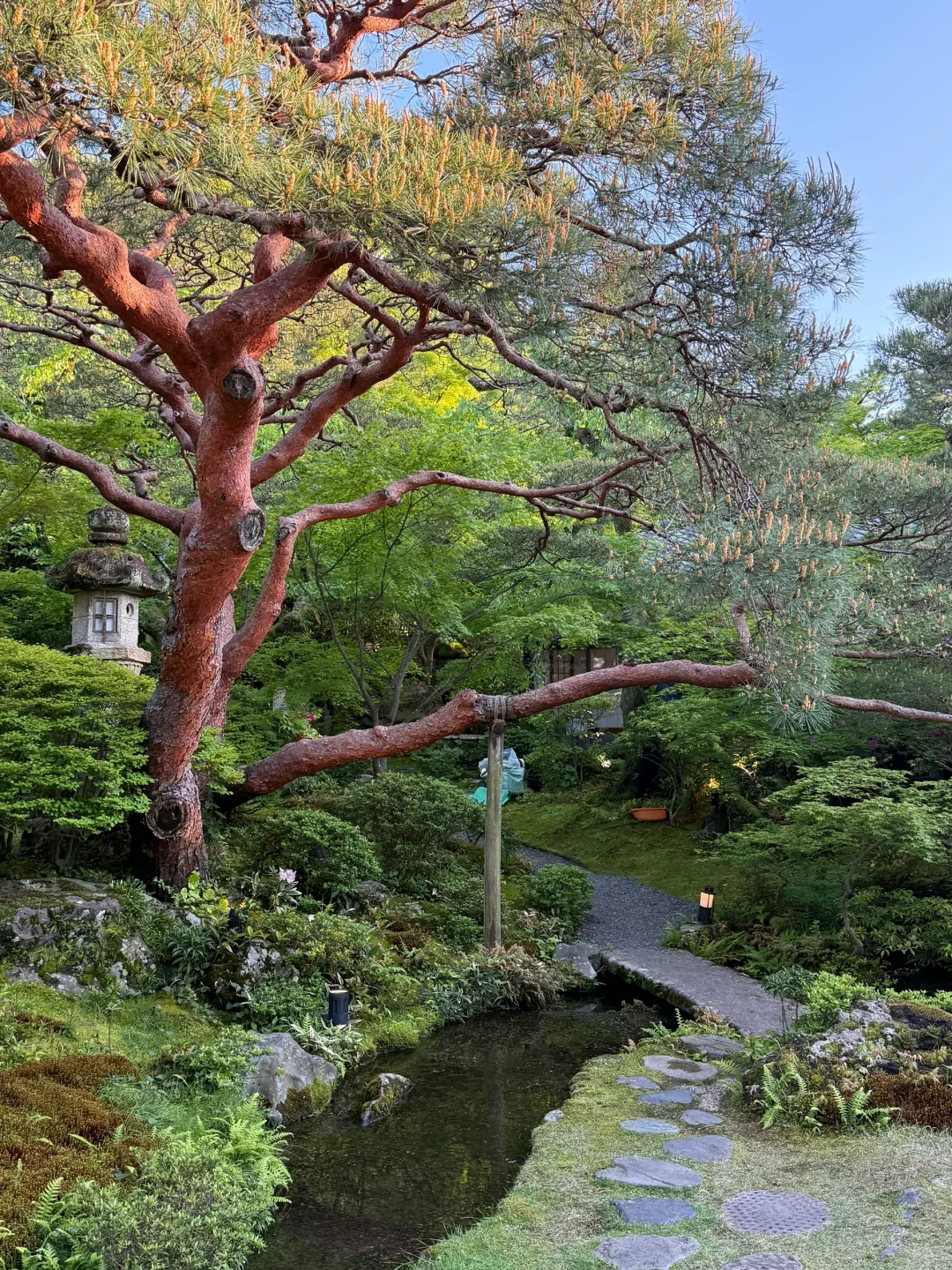 京都超详细旅游路线推荐（Day1）-清水寺+岚山