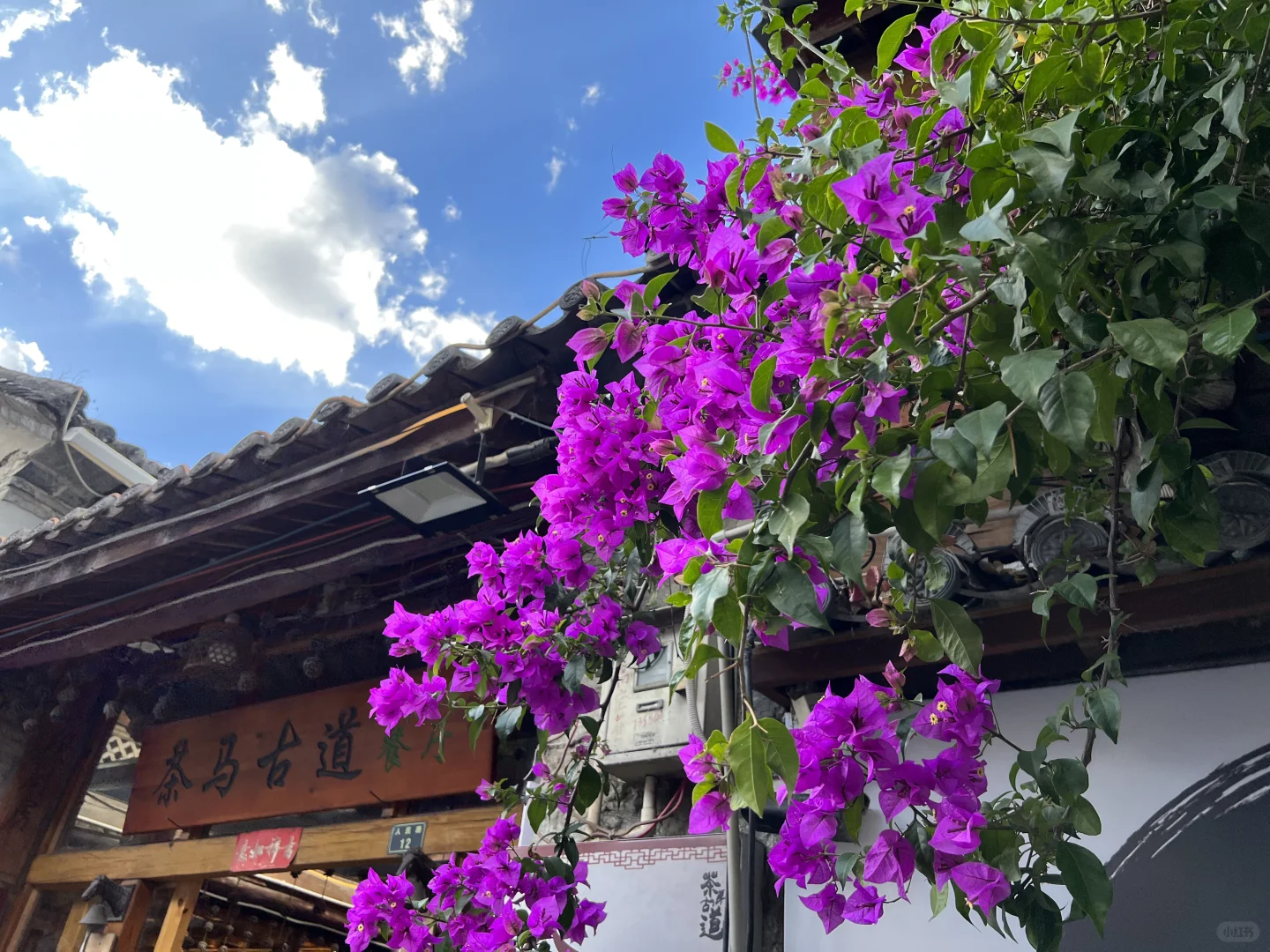 📍云南 11月超完美旅行攻略📝