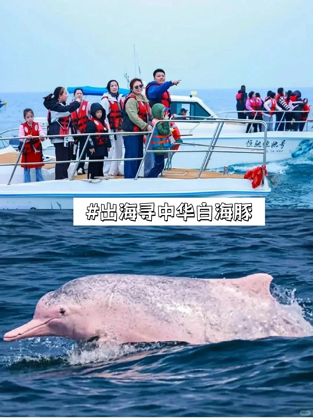 和老公带娃去了崇左，真的比新西兰还震撼‼