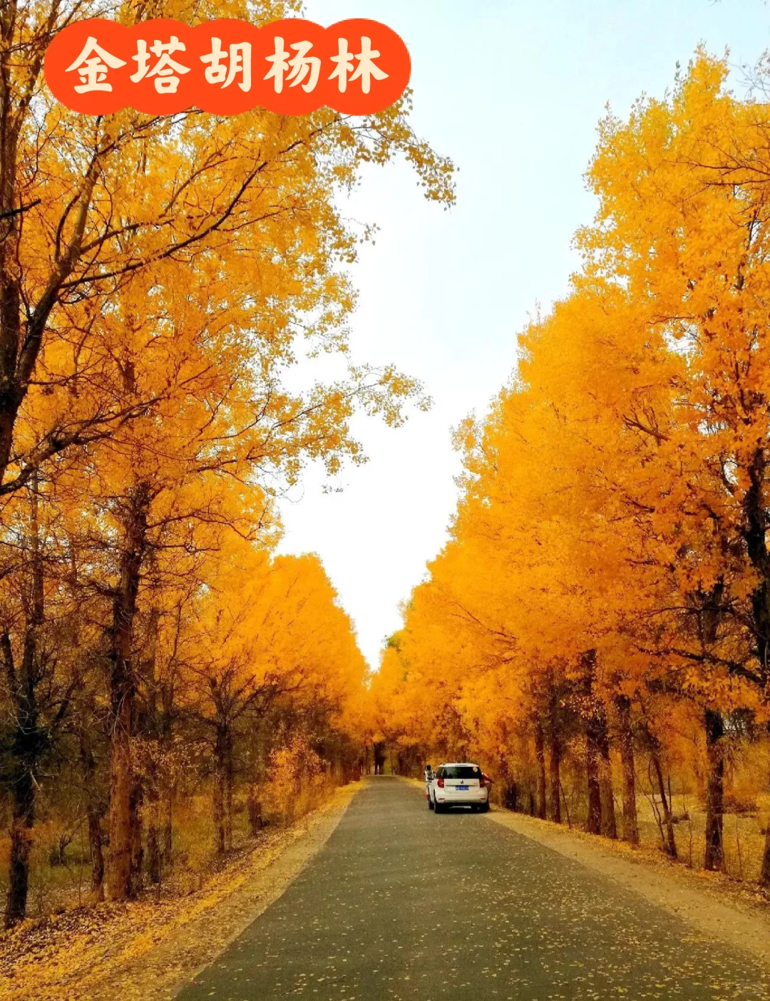 国内10个秋景天花板,这个季节美到封神!