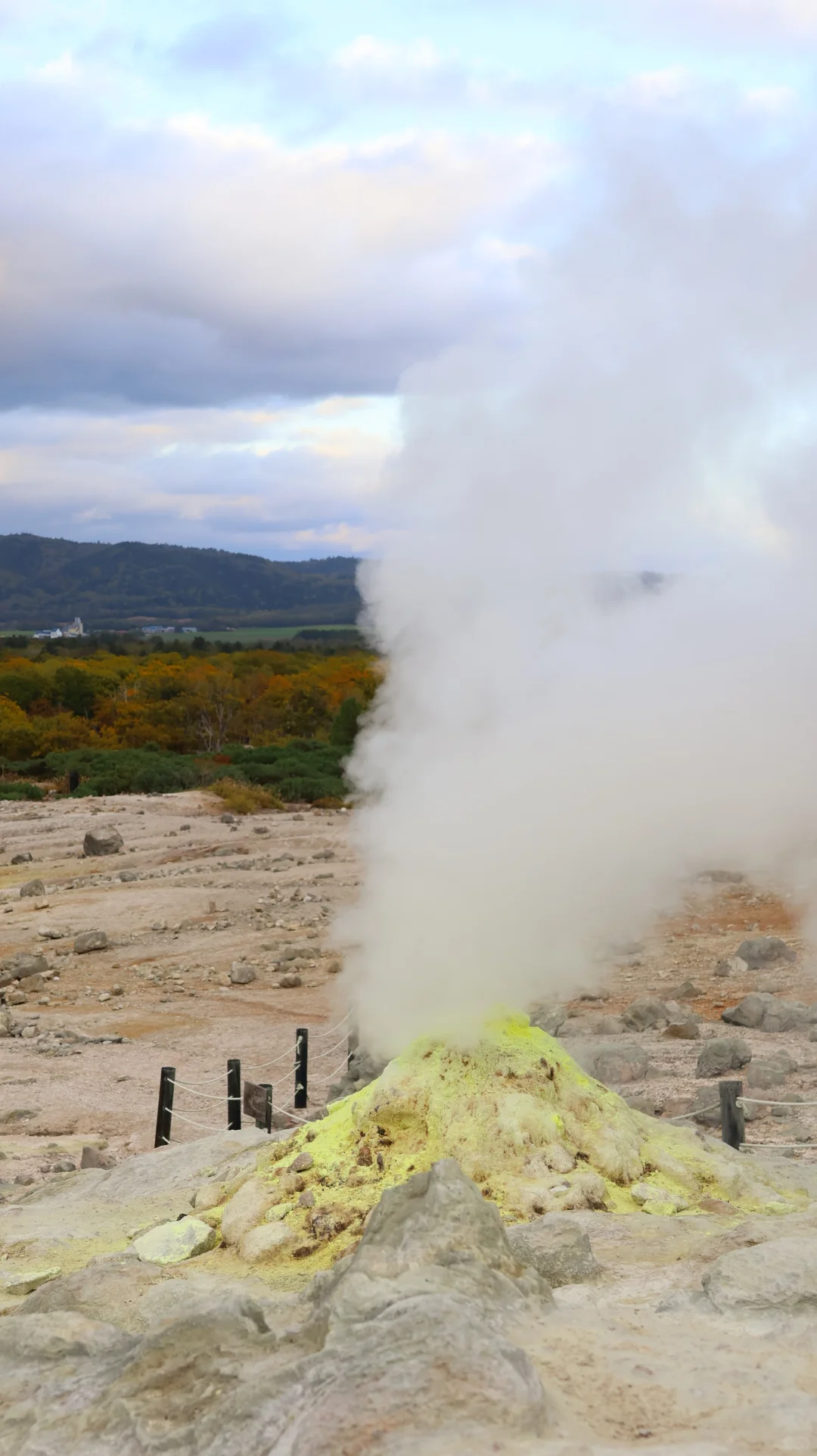 合格就行。日本国内旅游业务管理者🈴