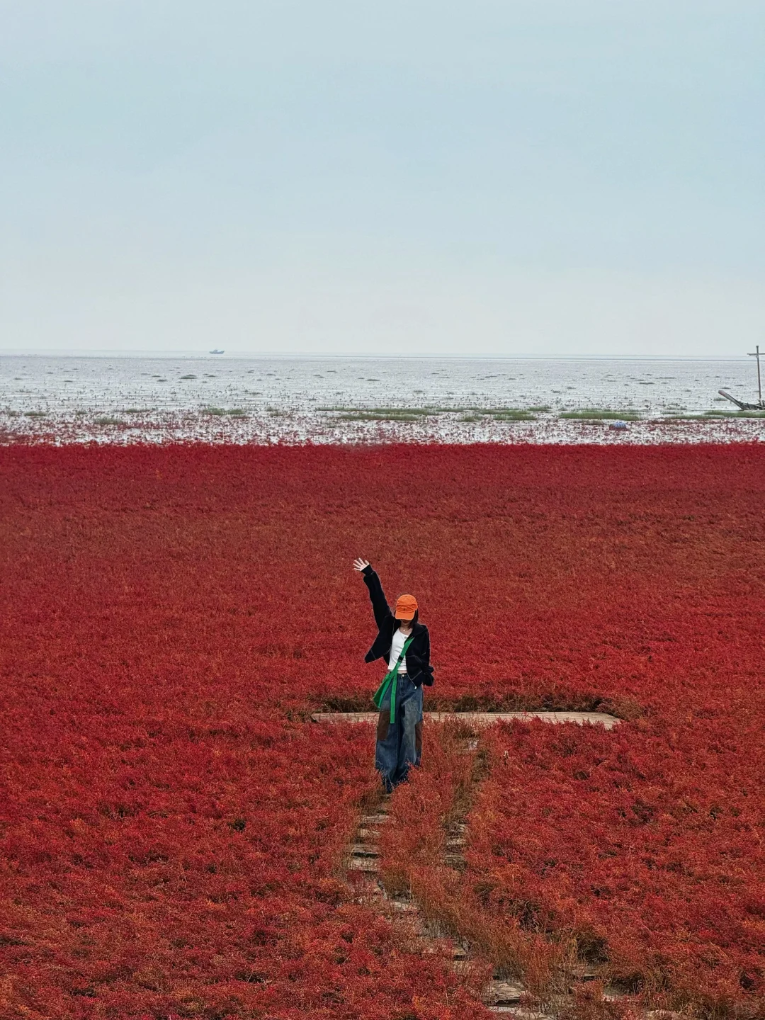 盘锦｜ 在这片红滩秘境拍到了人生照片❗️