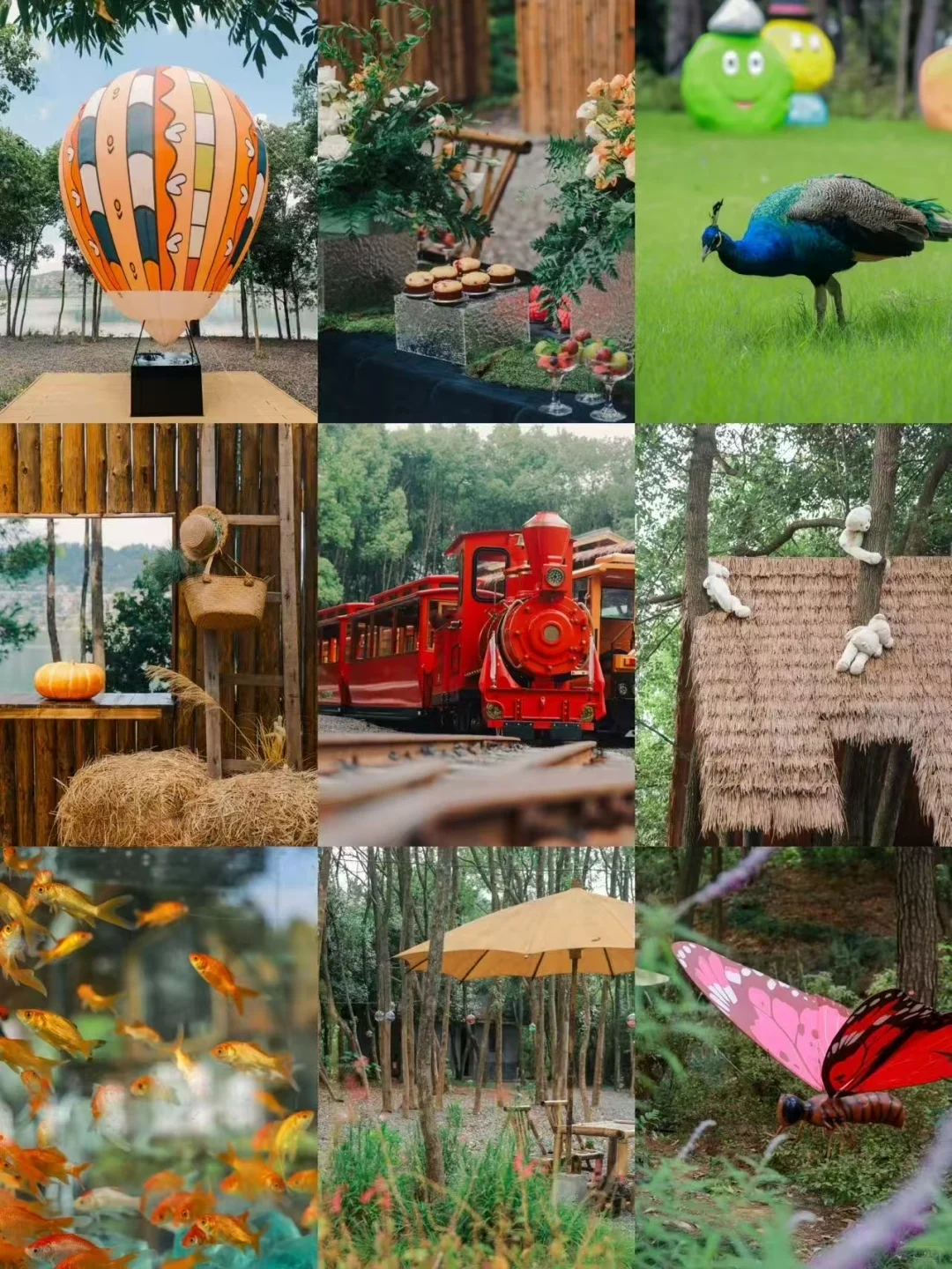 🍂千岛湖秋日漫游指南|10大必玩景点攻略