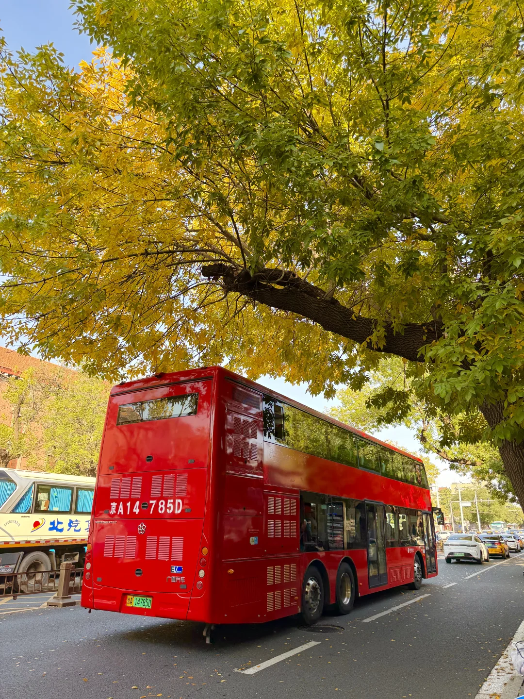 10.14实拍live，此刻北京五四大街的秋来啦❗️