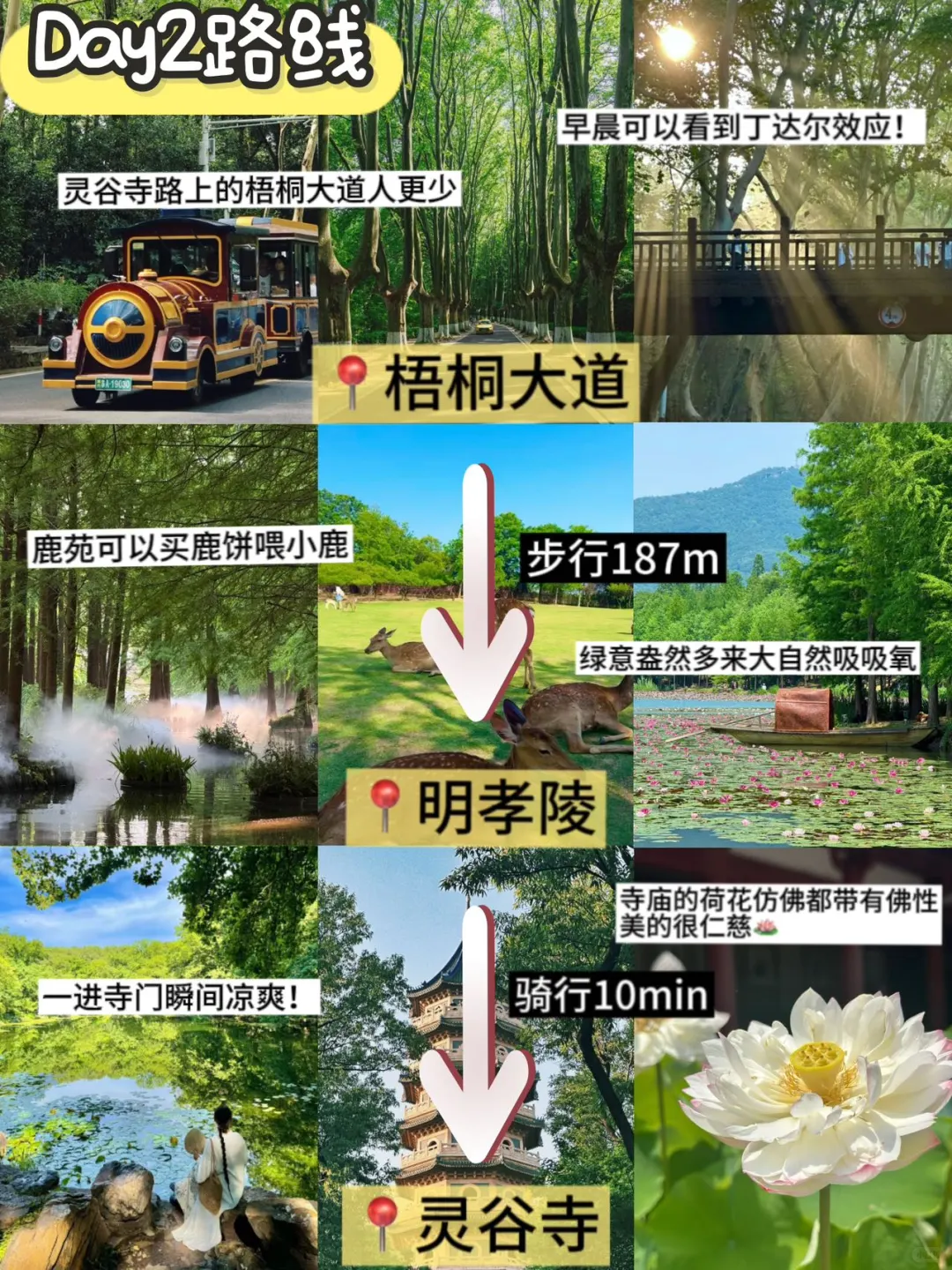 📍南京现状…少带点裙子…