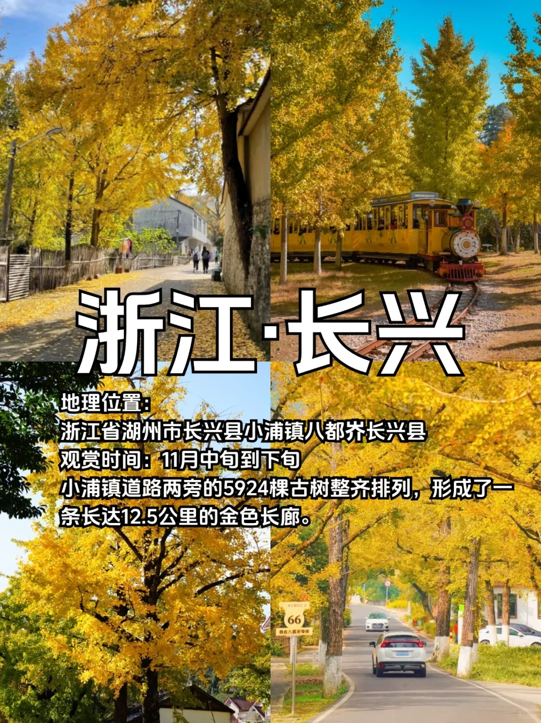 适合10、11月去赏秋的10个城市合集🍁
