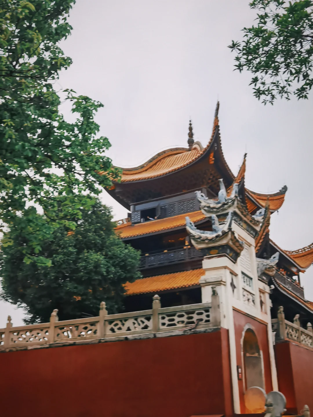 跟着书本去旅行——岳阳行程篇