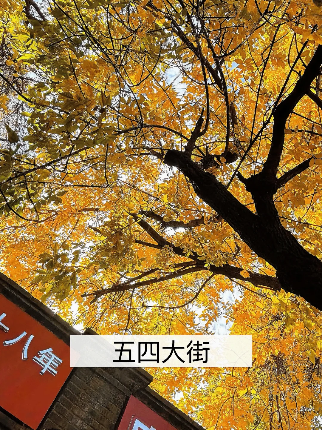 我宣布‼️这是北京免费赏秋🔝Citywalk路线✅