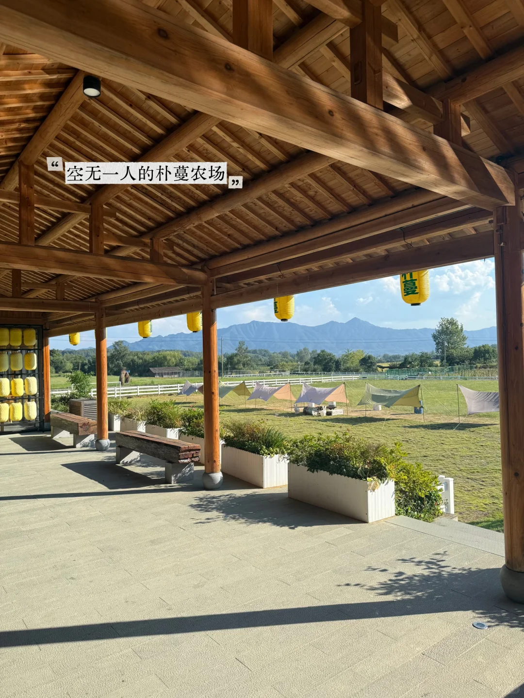老外被震，安徽劲儿太大了