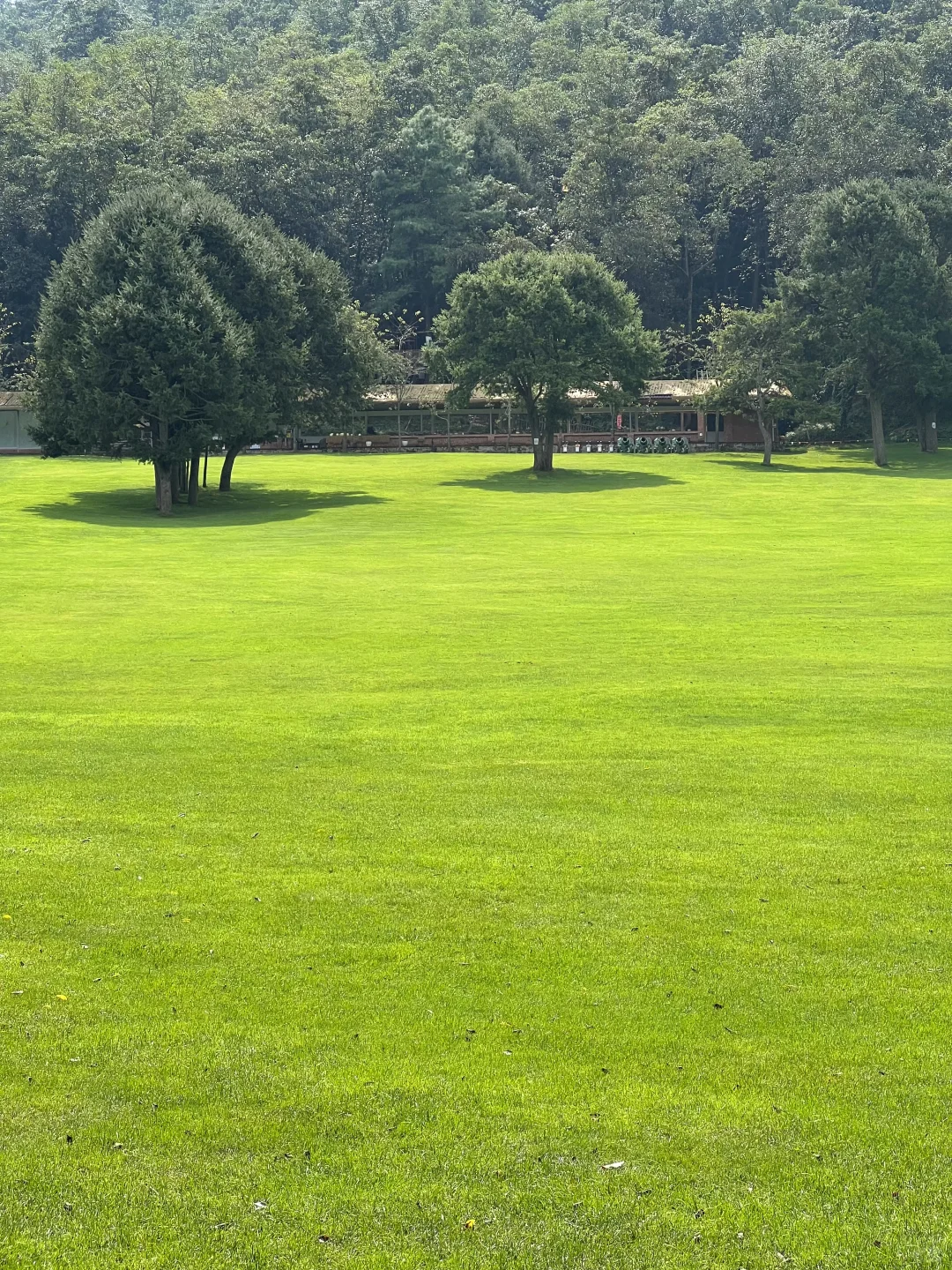 昆明40分钟，好像出国了一样，美哭了😭😭