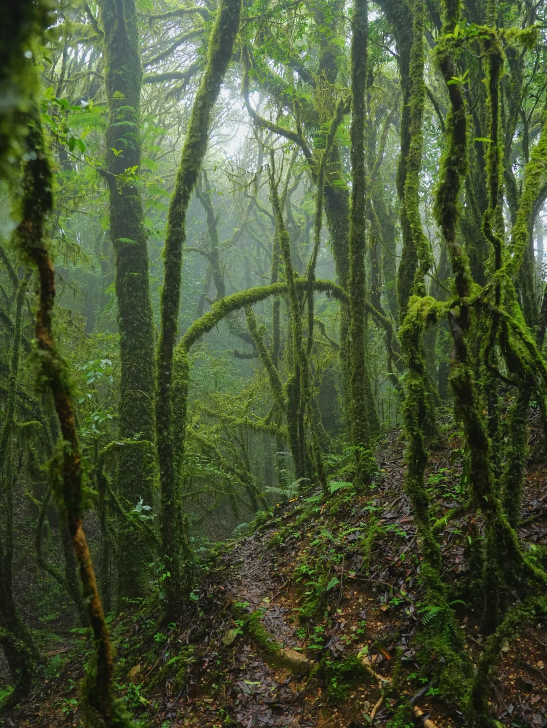 这是我至今为止走过最美的徒步路线!